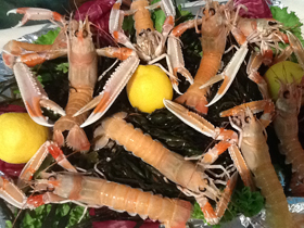 Ristorante da Pietro Scampi crudi